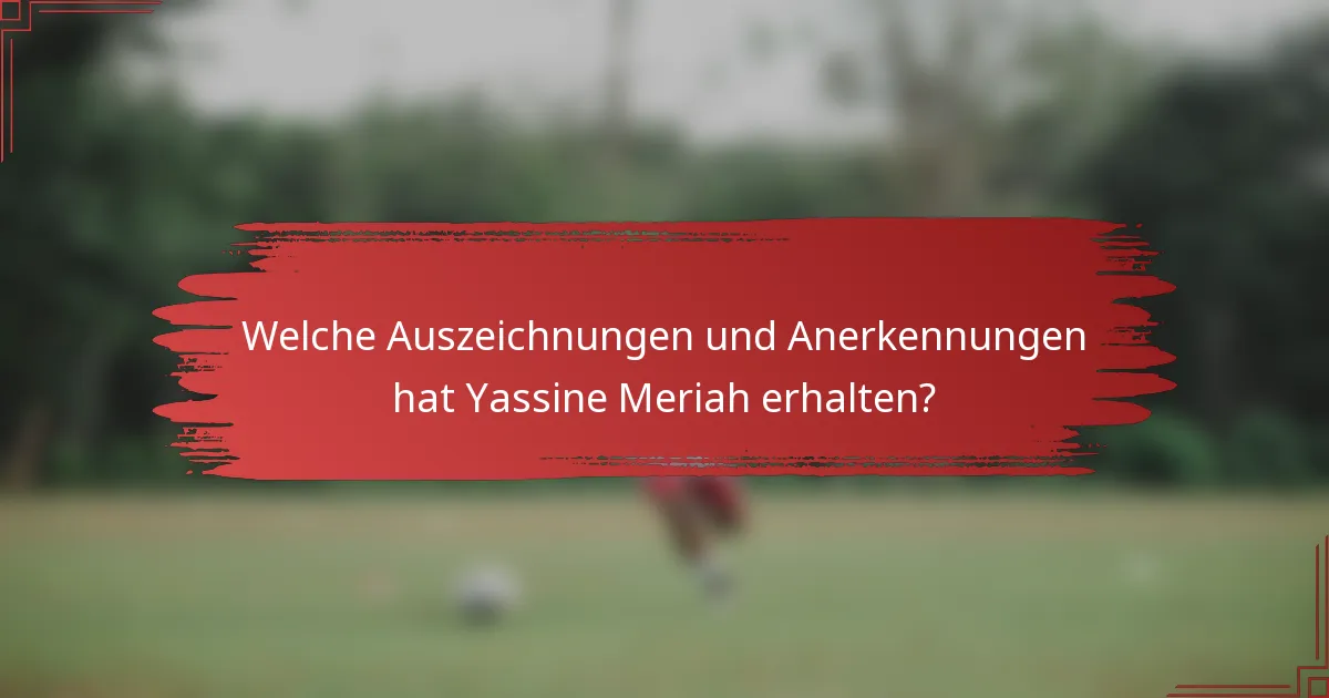 Welche Auszeichnungen und Anerkennungen hat Yassine Meriah erhalten?